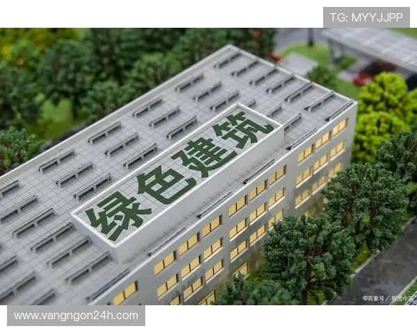 以巴雷西为中心探索现代城市化进程中的绿色建筑与可持续发展路径